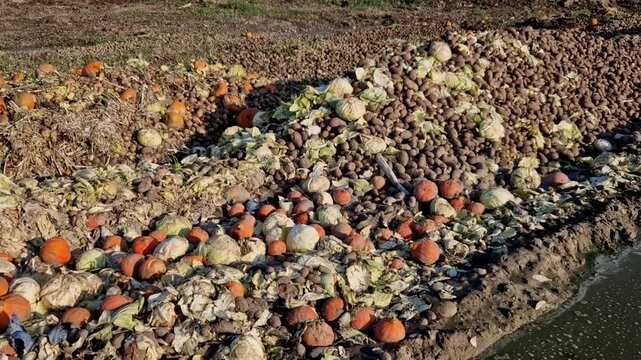 composting is a method of recycling fruits and vegetables. Rotten and moldy baked goods are unsaleable to be thrown away in a pile from the supermarket, fertilizers, organic, green water, orange