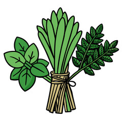 Illustration of a bunch of fresh green herbs tied together