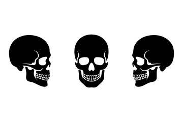 silhouette of  skulls, symbol of mortality 