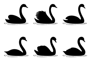 silhouette of  six elegant black swans on water surface