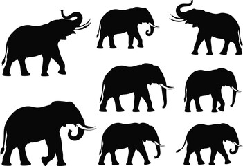 Elephant silhouette vector collection showing walking and standing elephants, wild animal shapes isolated for safari, nature, and wildlife design illustration projects