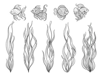 Aquarium set with ornamental fish and swaying seaweed. Vector illustrations in color and outline, detailed flowing fins and green aquatic plants for marine decor, pet habitat designs