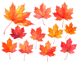 Colorful watercolor maple leaves in various shades of red, orange, and yellow