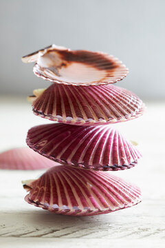 Fresh scallops in vivid purple shells stacked on a rustic white wooden table. Unique seafood still life photography highlighting shell texture, premium shellfish, gourmet delicacy