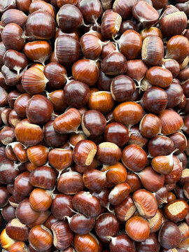 Sweet chestnuts pile close-up, autumn harvest food background