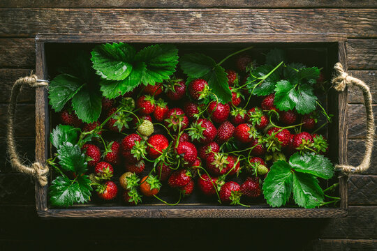 Strawberries in box horizontal 1