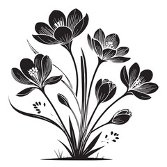 Black Spring Flowers Silhouette Vector, High Quality Illustration on White Background