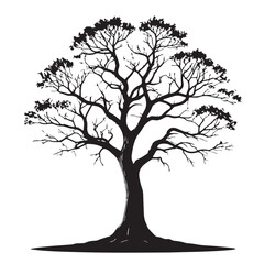 Obraz premium Black Tree Silhouette Vector, High Quality Illustration on White Background
