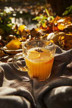 Hot Apple Cider with Orange Slices & Star anise on grey fabric outdoors, autumn