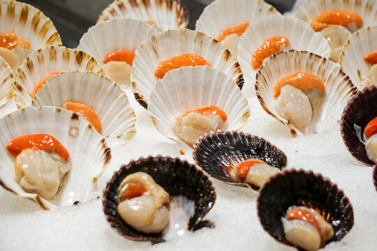 fresh scallops displayed on crushed ice at a seafood market.