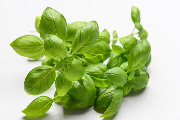 Fresh green basil on grey background