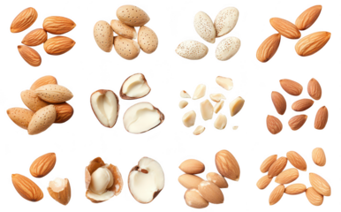 A variety of almonds and their different forms displayed on a clean white background. whole. cracked. and sliced nuts. ideal for culinary use or health-related content