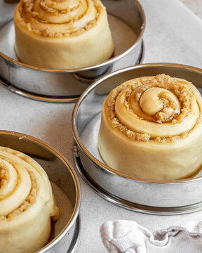Lemon and Lime Swirl Buns Proving