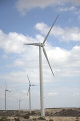 Wind power in the field