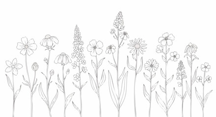 Naklejka premium Delicate black and white line art illustration featuring a border of various wild meadow flowers and botanical elements suitable for coloring pages or clean design