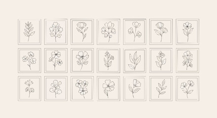 Delicate hand-drawn botanical line art collection of minimalist flowers and leaves in a grid. Organic designs for modern branding and decor