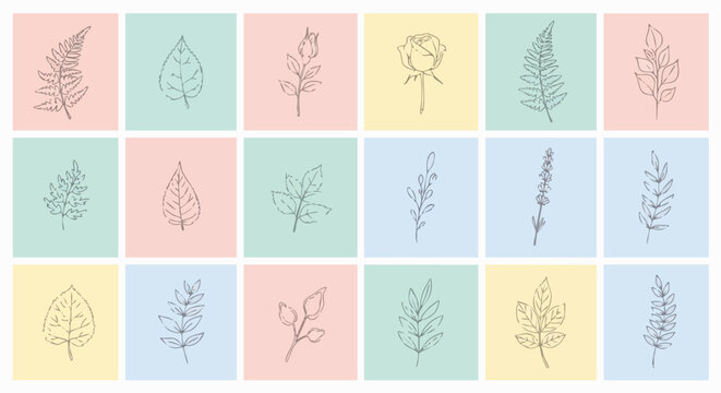 Delicate hand-drawn botanical line art arranged in a seamless grid pattern featuring various leaves, ferns, and roses on soft pastel colored squares