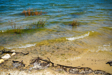 A calm lake with gentle ripples, reflecting the surrounding nature, creating a peaceful and serene landscape view.