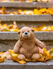 A soft toy teddy bear sits on the steps among autumn leaves