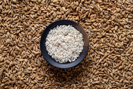 A slightly blurred background of grains of unprocessed rice. In the center, in the foreground, is a small bowl containing processed rice.