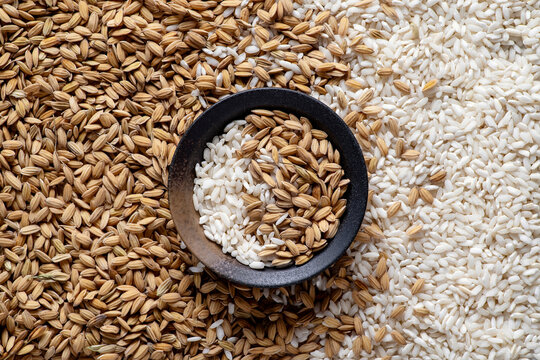 Slightly blurred background of raw, processed and unprocessed rice grains, with a small bowl containing both types of rice in the center foreground.