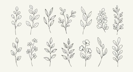 Set of hand-drawn botanical illustrations. Minimalist line art collection of various leaves, branches, and flowers for elegant design concepts