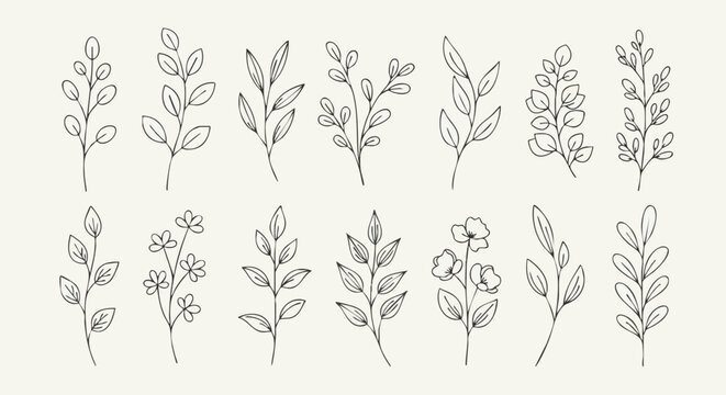Set of hand-drawn botanical illustrations. Minimalist line art collection of various leaves, branches, and flowers for elegant design concepts