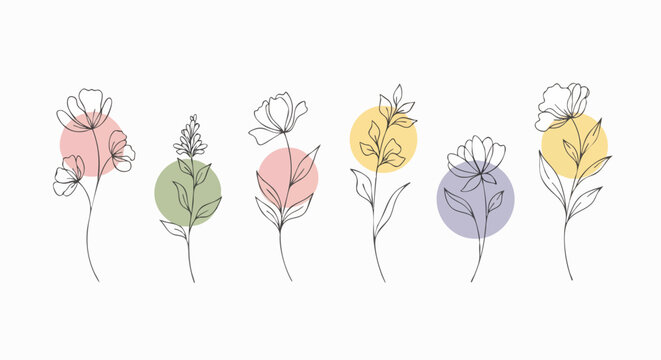 Set of six minimalist line art botanical illustrations featuring delicate flowers and leaves with soft pastel color circles