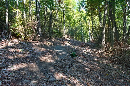 The Boone Fork Trail, off the Blue Ridge Parkway near Blowing Rock, heads up hill over fallen sticks and limbs possibly from hurricane Helene.