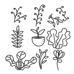 doodle hand drawn flower plant ornament set collection