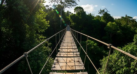 Suspension Bridge Through Lush Green Jungle Canopy in Sunlight.