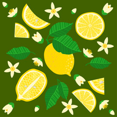 Lemon fruit composition with slices, leaves, and white citrus blossoms on a greenish background in flat vector style. Perfect for tropical posters, organic product packaging, or summer-themed designs.