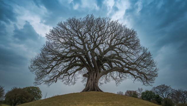 A Majestic Arboreal Silhouette Against a Cloudy Canvas, an Organic Abstract.
