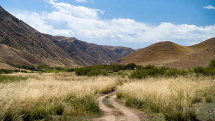 autumn landscapes in the mountains. autumn in the mountains. cloudy weather. the road in the mountain gorge