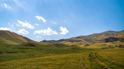 autumn landscapes in the mountains. autumn in the mountains. cloudy weather