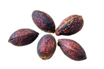 Exotic Fruit Seeds: A close-up view presents an arrangement of unique fruit seeds, each showcasing an intricate pattern and rich coloration.