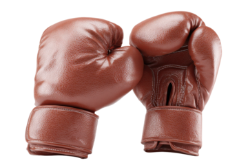 Boxing Gloves: Two brown boxing gloves are shown, one lying down with the other upright, showcasing the strength, and equipment used in the sport.