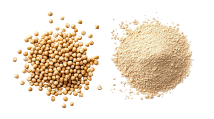Jowar grains and jowar powder in a bowl side by side on transparent background