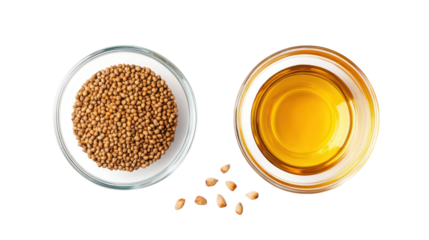 Kernel seeds and kernel oil in a glass bowl overhead side by side on transparent background