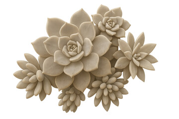 Beige succulent plants forming a decorative cluster