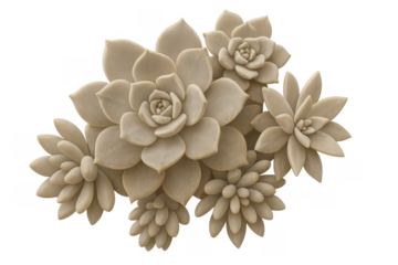 Beige succulent plants forming a decorative cluster