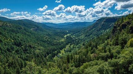 A lively valley with dense greenery beneath a clear blue sky