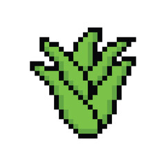 Obraz premium pixel aloe icon. Vector pixel art aloe vera 8 bit logo for game