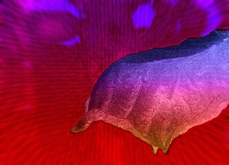 Abstraktes dynamisches futuristisches digitales Kunstwerk ohne Mithilfe von "KI " am PC selbst erstellt	