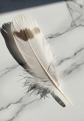 Ethereal feather's gentle shadow play on cool marble surface serenity
