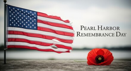 USA flag and red poppy flower symbolizing Pearl Harbor Remembrance Day observed on December 7. National memory