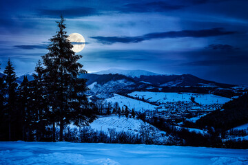 village in mountains at night. winter landscape covered with snow in full moon light. trees on rolling hills. background for investment or abstract concepts