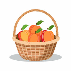 Basket of ripe peaches