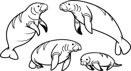 Obraz premium Charming manatee family group swims gracefully in clear ocean waters, perfect for educational and conservation projects