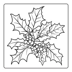 Detailed holly and berries illustration in black and white